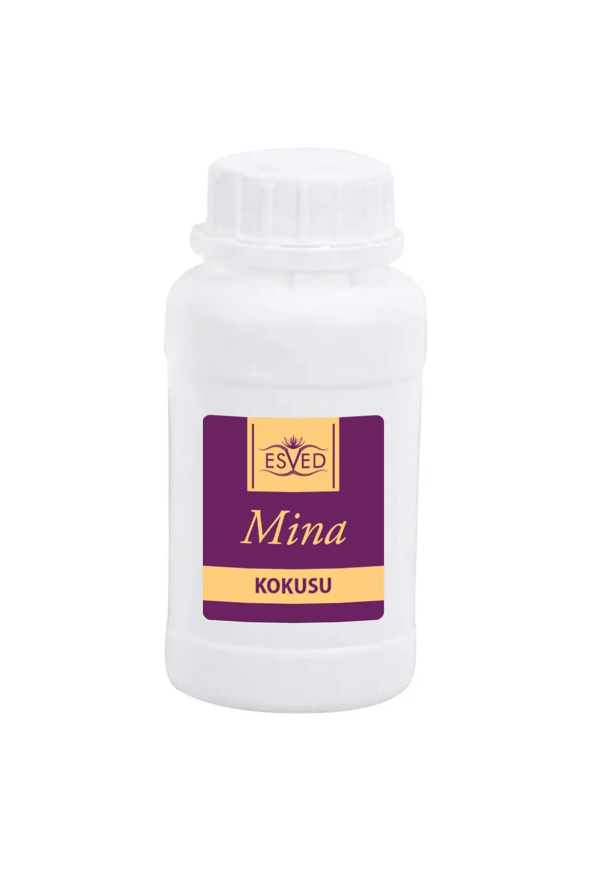 Mina Kokusu Çubuklu Koku Bambu Kokusu Yedek Dolum Şişesi 100Ml
